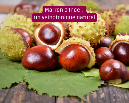Marron d Inde reference des veinotoniques